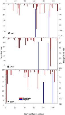 Effect of Rye cover crop on weed control, soybean (Glycine max L.) yield and profitability